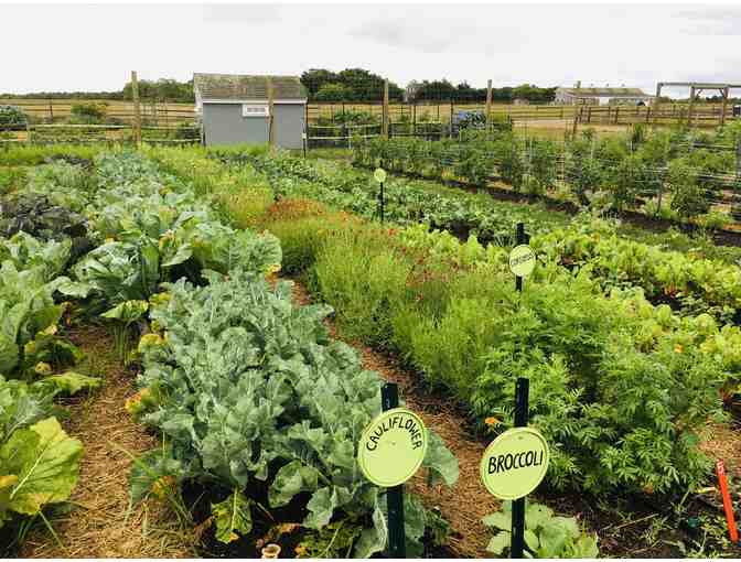 Private Dinner Party at Slough Farm with Island Author Bill Eville