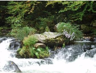 A Week's Stay in Robinsville, NC Mountain Home