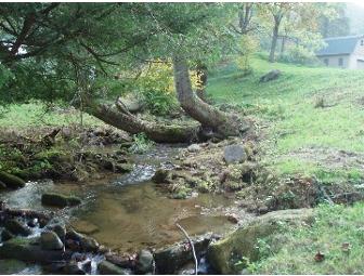 A Week's Stay in Robinsville, NC Mountain Home