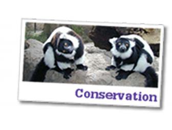 2 Passes to the Happy Hollow Park and Zoo in San Jose