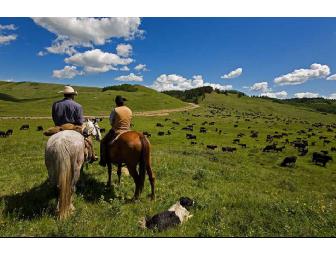 4 night stay at Indian Paintbrush Ranch in the Colorado Rockies