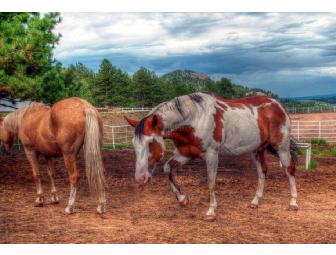 4 night stay at Indian Paintbrush Ranch in the Colorado Rockies
