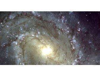 Four general admission tickets to the California Academy of Sciences