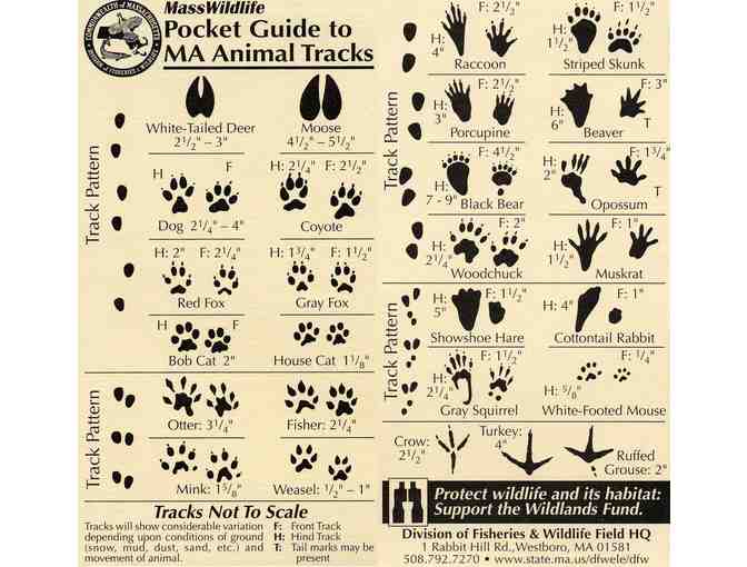 Wildlife Track and Sign Program