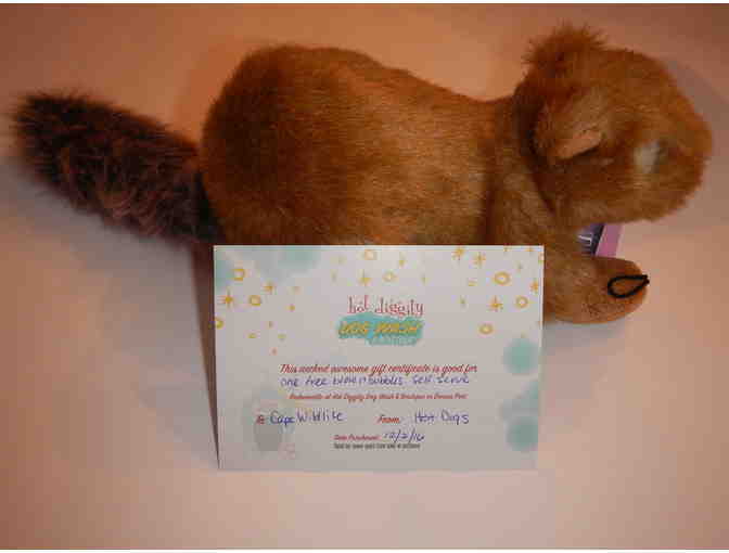 Gift certificate for 1 dog bath and toy Dennisport