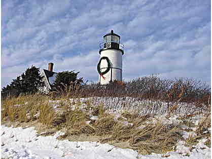 Once in a Lifetime Private Sandy Neck Beach Tour and Lighthouse Experience!