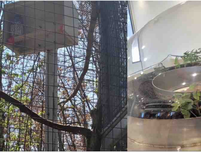 EcoTarium | 4 Passes