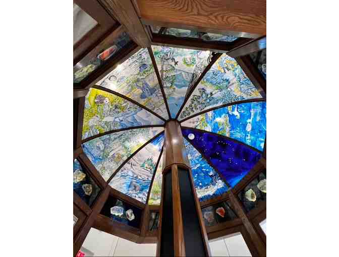 EcoTarium | 4 Passes