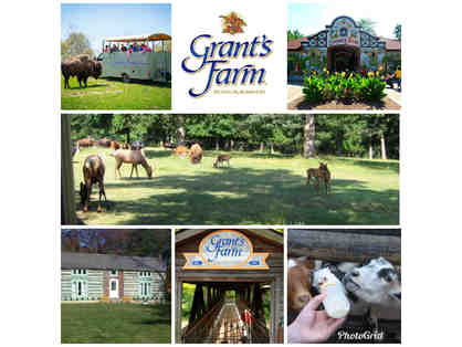 Grant's Farm Deer Park Safari for 12 people