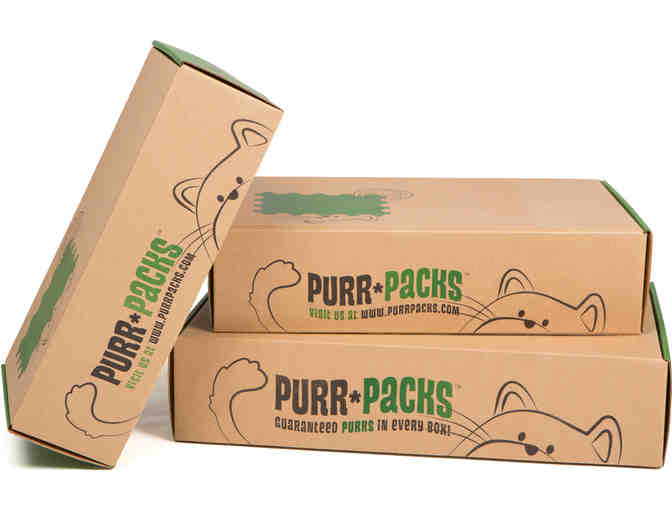 Fun & Love Purr Pack for Cats -- #1