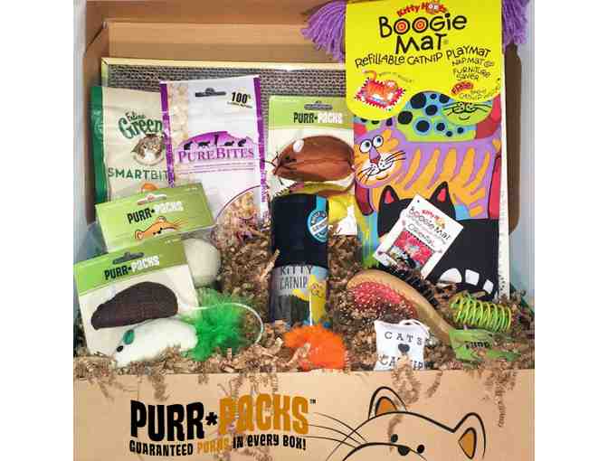 Fun & Love Purr Pack for Cats -- #1
