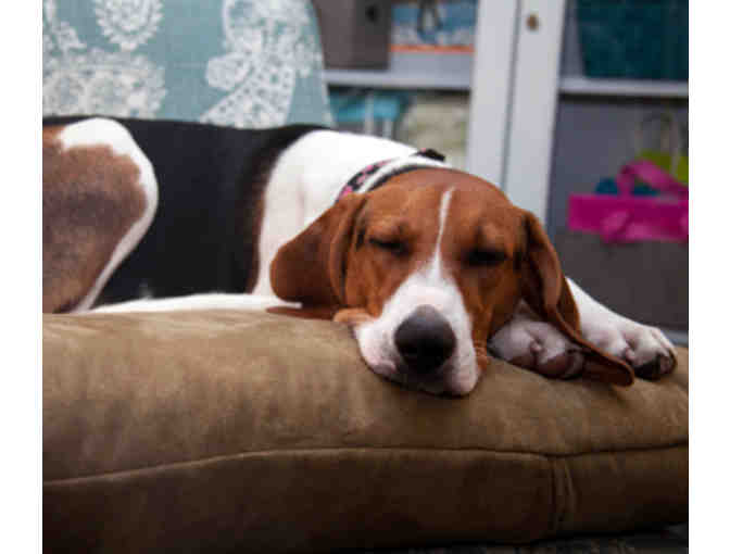 Baileys Dog Bed - Photo 1