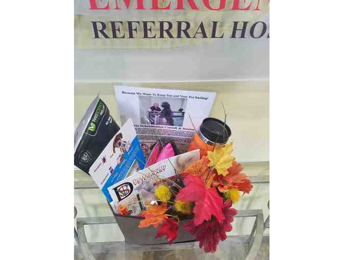 Dulles South Vet Free Rehab Consult & Session