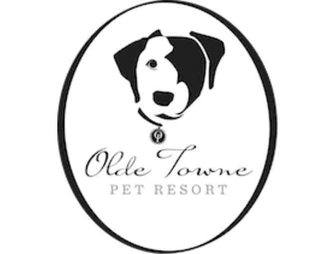 Olde Towne Pet Resort Certificate