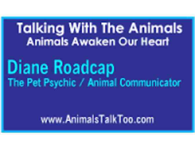 Diane Roadcap (Animal Communicator) 1 hour session!