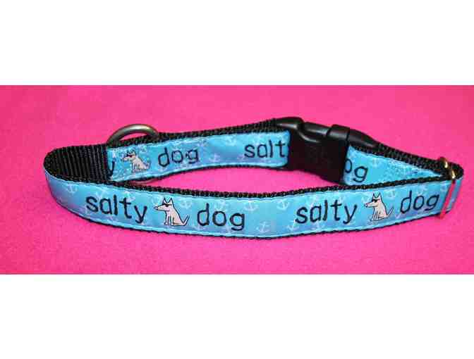 Teddy the Dog - Salty Dog collar