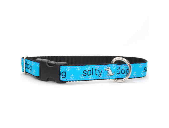 Teddy the Dog - Salty Dog collar