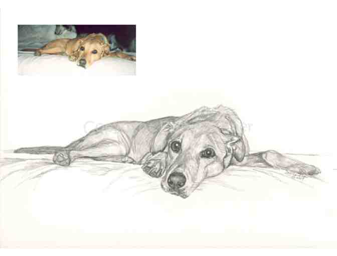 Custom Pet Portrait in Graphite from Your Photo