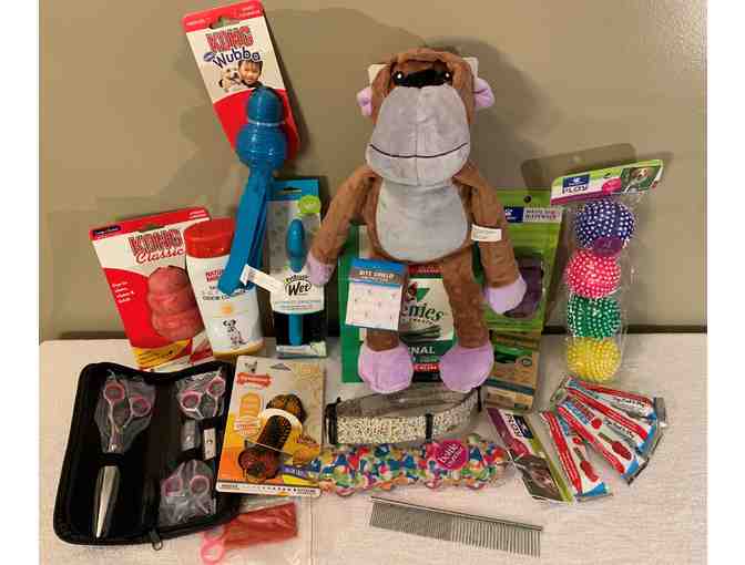 Picnic Basket of Dog Items and 2 night stay at Pet Resort - Photo 4