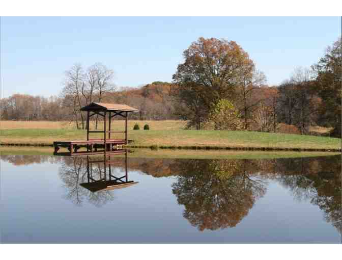 Gourmet Wine Tasting for Two at Molon Lave Vineyards #2