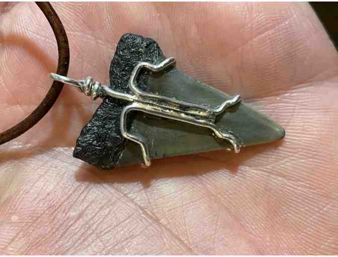 Mako Shark Tooth Fossil Pendant