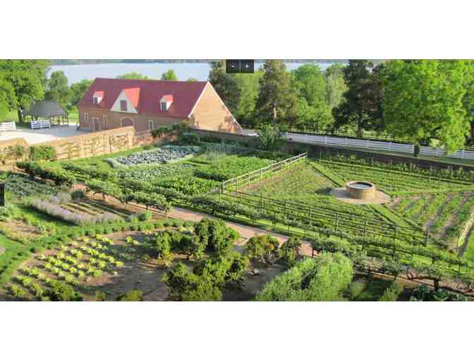 George Washington's Mount Vernon - Four complimentary daytime admissions