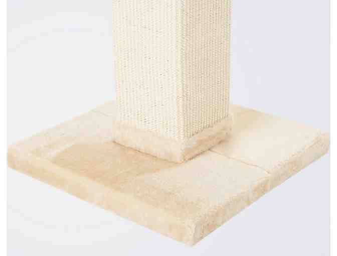 Cat Scratching Post