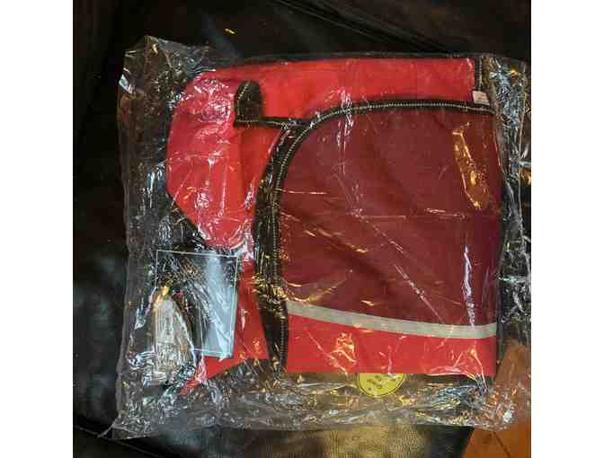 FOHA Large Dog Holiday Basket