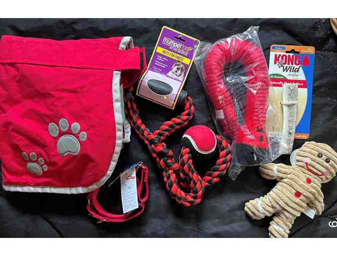 FOHA Playing and Staying Warm Dog Basket for Large Dogs