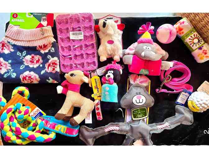 FOHA Dog basket - Toys galore