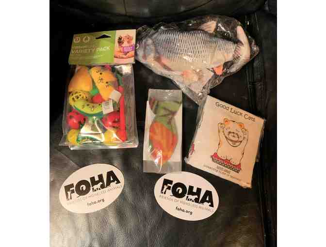 FOHA Cat Basket #1 - Toy Story