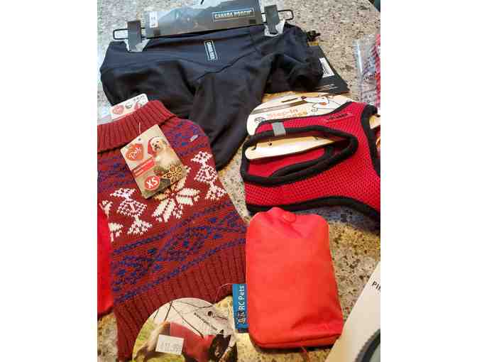 FOHA Deluxe Basket for Tiny Dogs