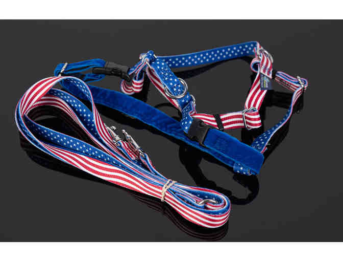 2 Hounds Design - Star Spangled Freedom No-Pull Dog Harness and leash