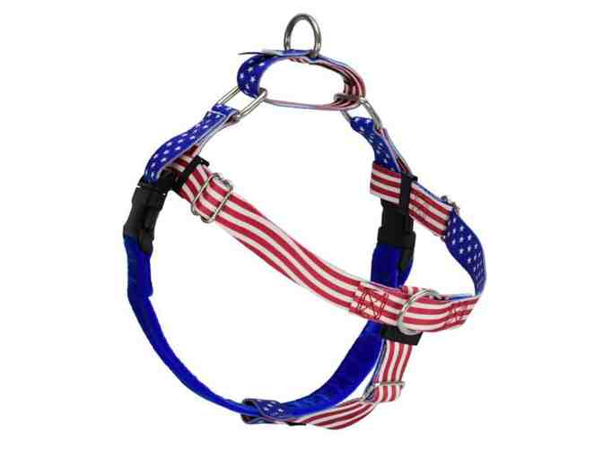 2 Hounds Design - Star Spangled Freedom No-Pull Dog Harness and leash