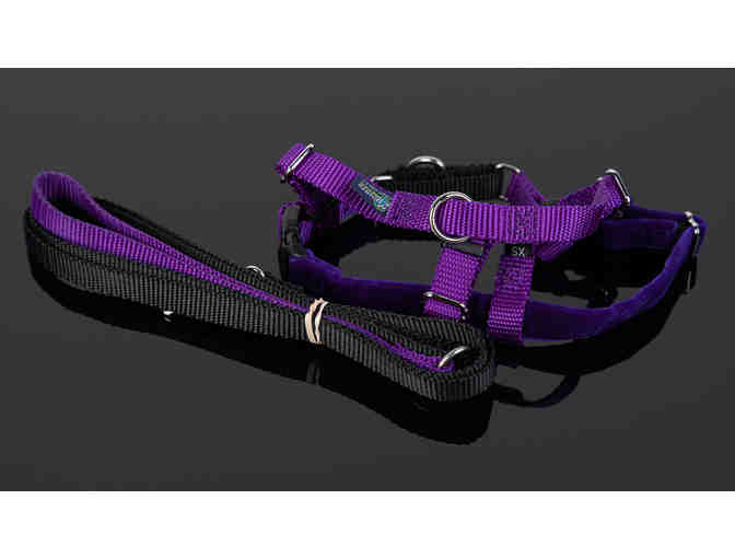 2 Hounds Design - Purple Freedom No-Pull Dog Harness and leash