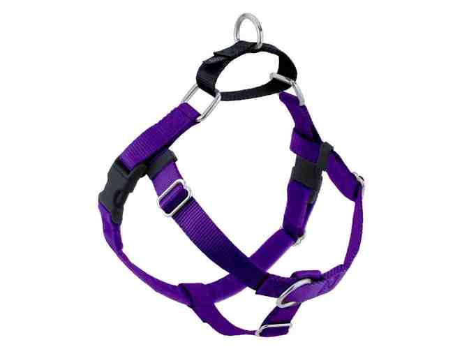 2 Hounds Design - Purple Freedom No-Pull Dog Harness and leash