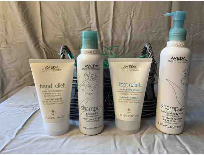 Aveda Gift Set