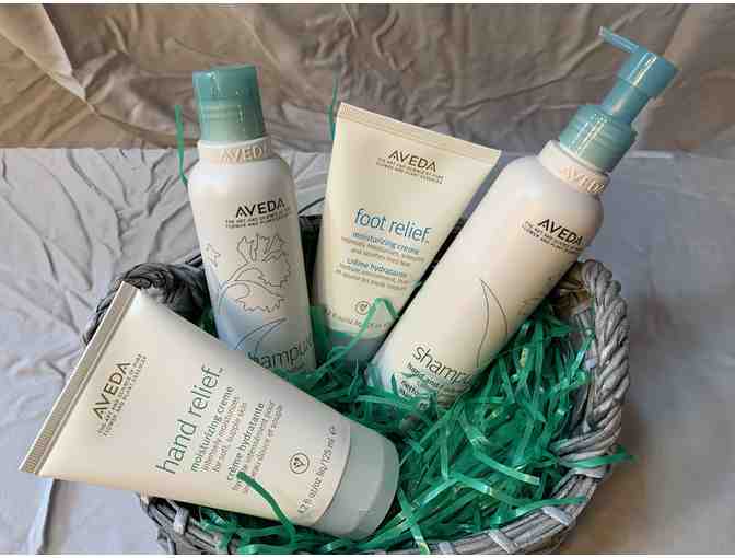 Aveda Gift Set