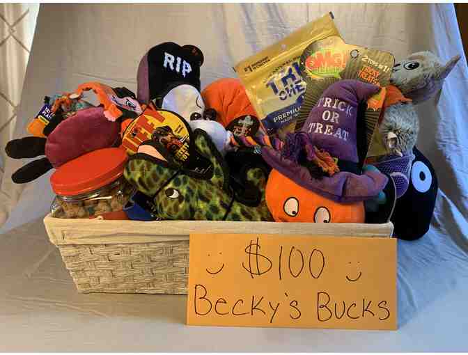 Becky's Pet Care Basket