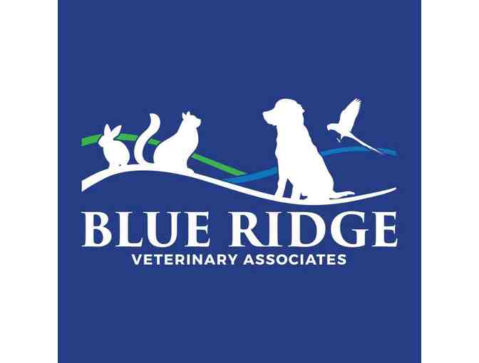Blue Ridge Veterinary Associates Basket