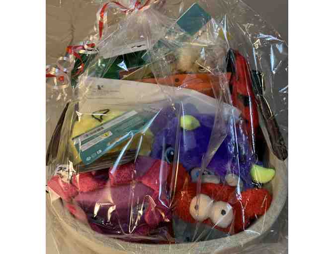 Blue Ridge Veterinary Associates Basket