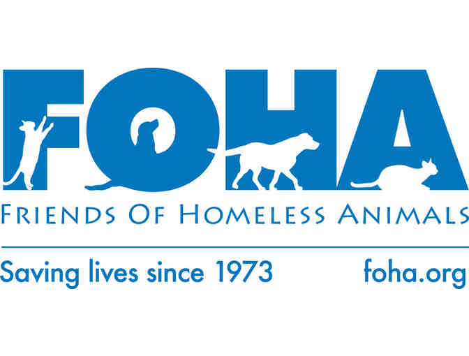 Fund a Need - Help fund Cosmo's ACL surgery and rehabilitation