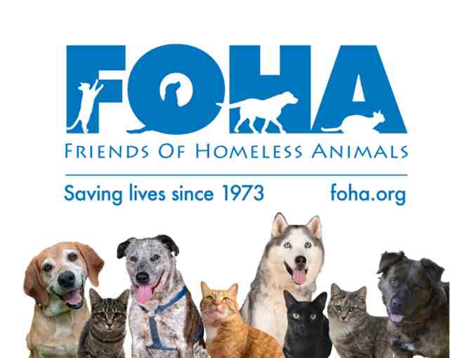 Fund a Need - Feed the FOHA cats and dogs for a day - Photo 1