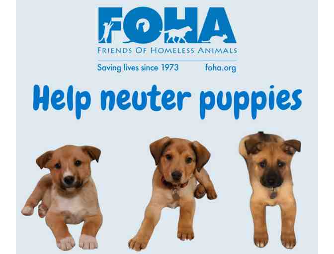 Fund a Need - Help fund puppy medical costs