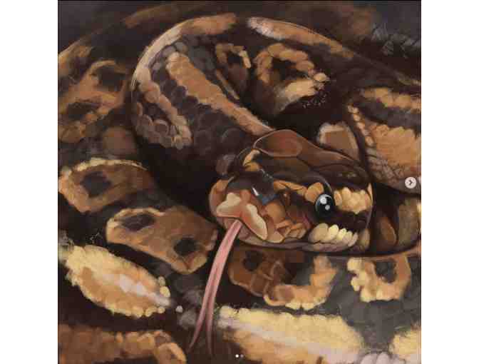 Digitally Painted Custom Pet Portrait