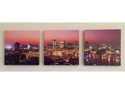 Baltimore Skyline Mounted Prints
