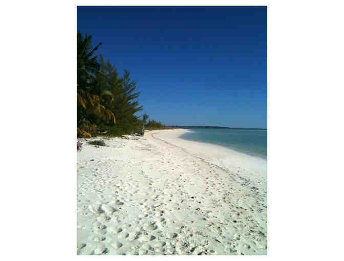 Bahamas Beachfront Retreat