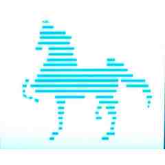 Andi Everett with Boone's Farm & Stables