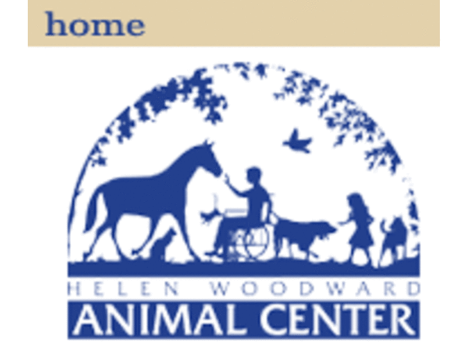 Helen Woodward Animal Center - One Week of Critter Camp