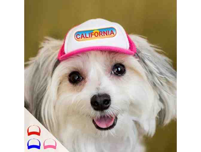 PupLid - Two (Size Small) Trucker Hats for Dogs